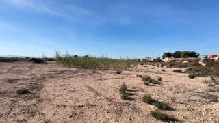 Terreno en venta en Crevillent