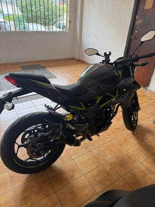 Kawasaki Z125 Naked Negra/Verde