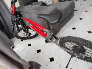 Bicicleta elettrica 20 pollici