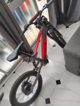 Bicicleta elettrica 20 pollici