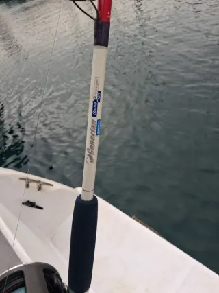 Caña y carrete de pesca