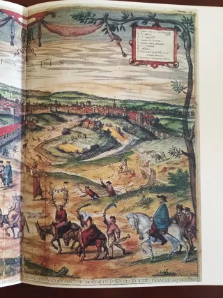 Sevilla. Haciendas de olivar