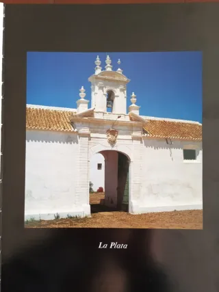 Sevilla. Haciendas de olivar