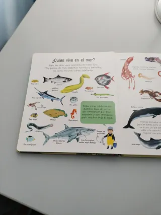 Libro infantil Mi primer libro sobre los mares
