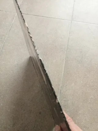 Coroner - No More Color - Noise Int.