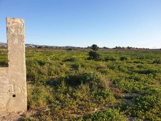 Terreno en venta en Crevillent