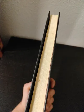 Las extrañas aventuras de Solomon Kane (Gótica)...