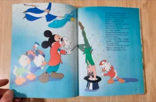 Clásico cuento Disney.Donald y sus amigos.GAVIOTA.