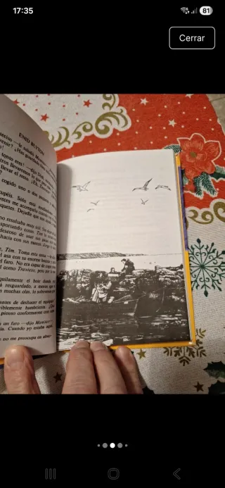 Los cinco en las rocas del diablo