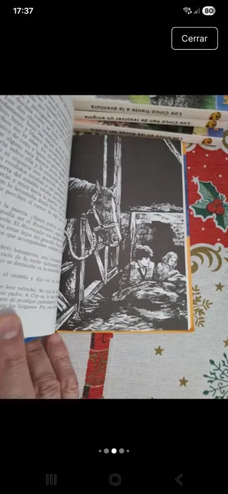 Los cinco en el páramo misterioso