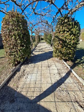 Pavimento hormigón desactivado