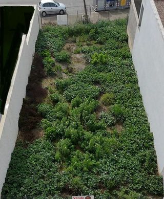 Terreno en venta en Centro en Bormujos