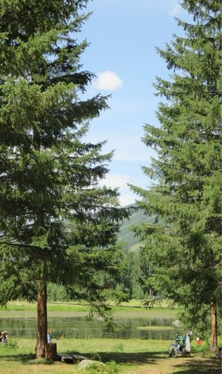 Cámara Digital Canon IXUS 140