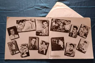 Lotto 2 Vinili Elvis Presley RCA originali vintage