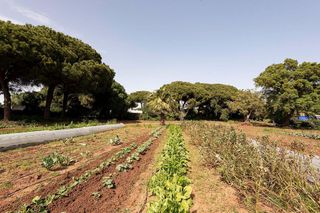 Casa rural en venta en Vejer de la Frontera