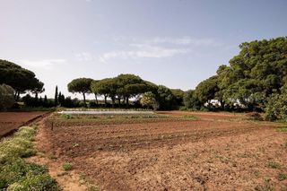 Casa rural en venta en Vejer de la Frontera
