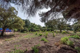 Casa rural en venta en Vejer de la Frontera