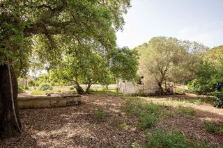 Casa rural en venta en Vejer de la Frontera