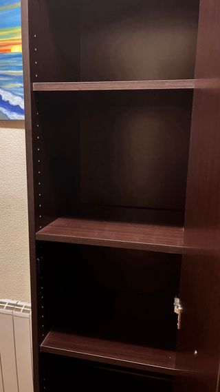 Armario para hogar o organizador para oficina