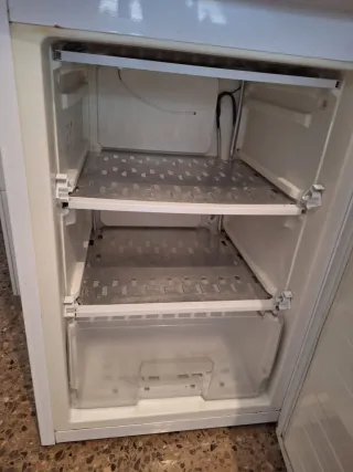 Congelador vertical Bluesky