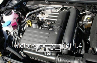 Motor cat cpta audi 1.4 tsi.