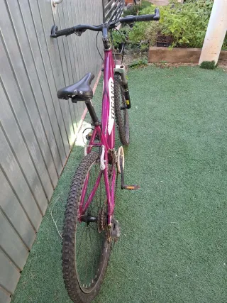 Bicicleta medina Mujer Togano Track Morada