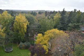 Piso en alquiler en Fuentelarreina en Madrid