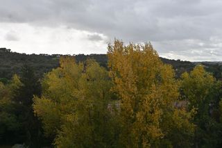 Piso en alquiler en Fuentelarreina en Madrid