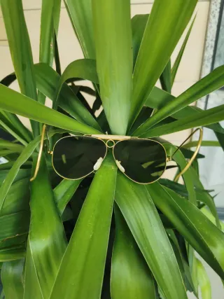 Occhiali Ray Ban Aviator Oro Lenti Verdi