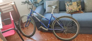 Bicicleta Globe Trotter 18 Velocidades