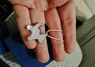 Collar Swarovski Oso Rosa y Plata