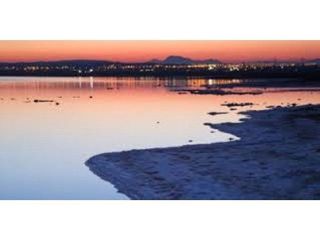 Terreno en venta en Rojales en Rojales