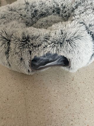 Cama y túnel para gato