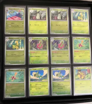 Mega Evolution Pokémon set completo