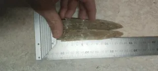 Collezione di minerali