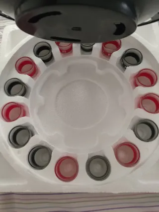 Ruleta de Bebidas con Vasos