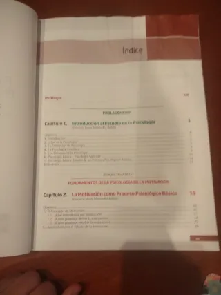 Fundamentos teoricos y prácticos de la motivación.