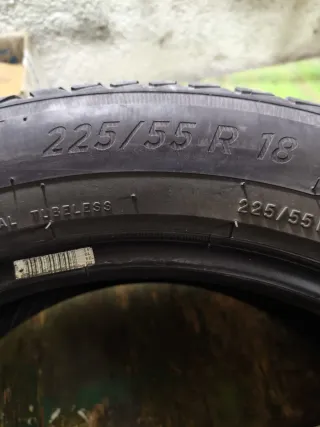 Ruedas Michelin Crossclimate 225/55 R18 98V