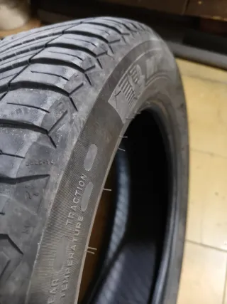 Ruedas Michelin Crossclimate 225/55 R18 98V