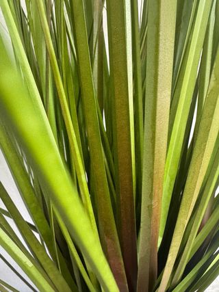 Planta Artificial Decorativa