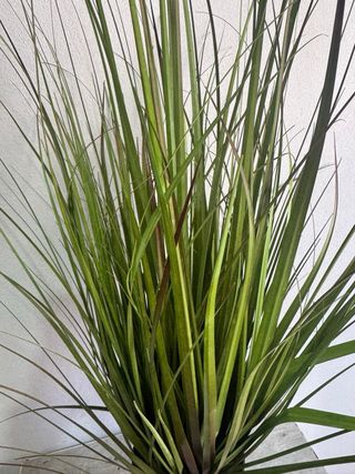 Planta Artificial Decorativa