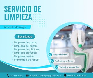 Servicios de Limpieza y Planchado a Domicilio.