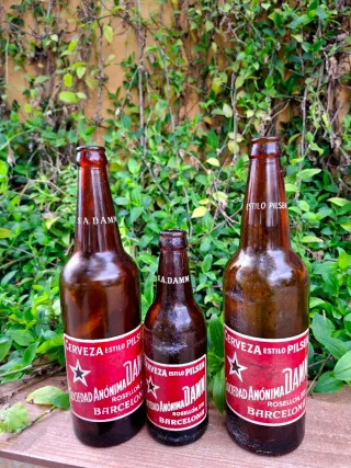 Lote 3 Botellas  Damm