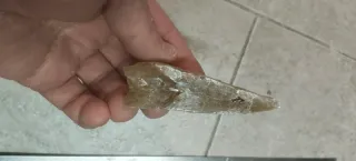 Collezione di minerali