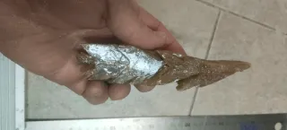 Collezione di minerali