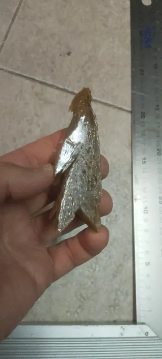 Collezione di minerali