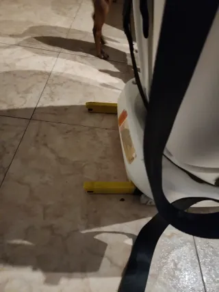 Silla coche bebé Lionelo 0-13kg