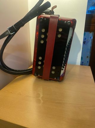 Fisarmonica Hohner Student V 40 bassi