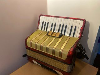 Fisarmonica Hohner Student V 40 bassi