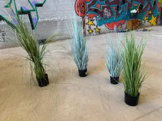 Plantas de plástico decorativas